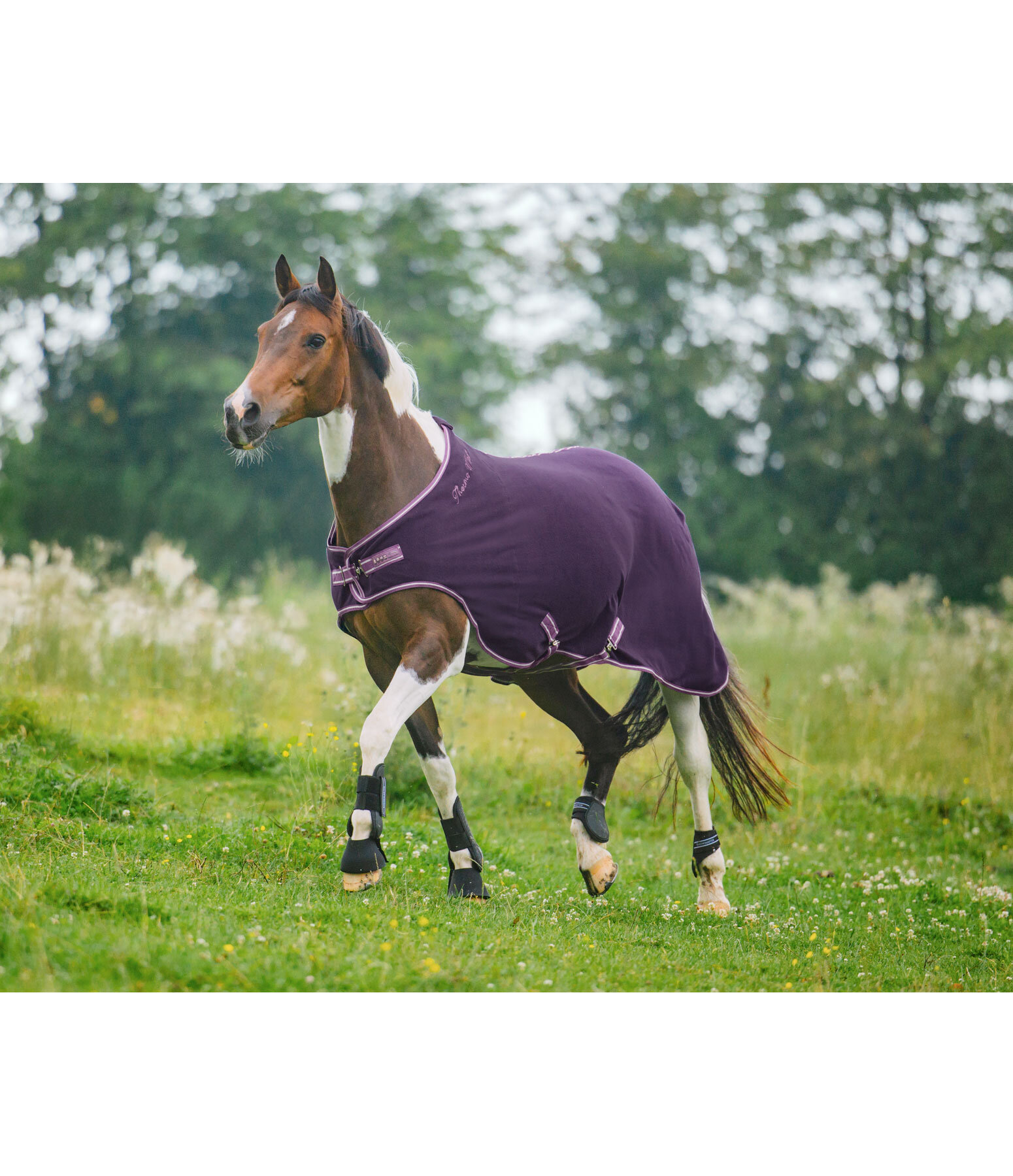 fleece Walker Activity