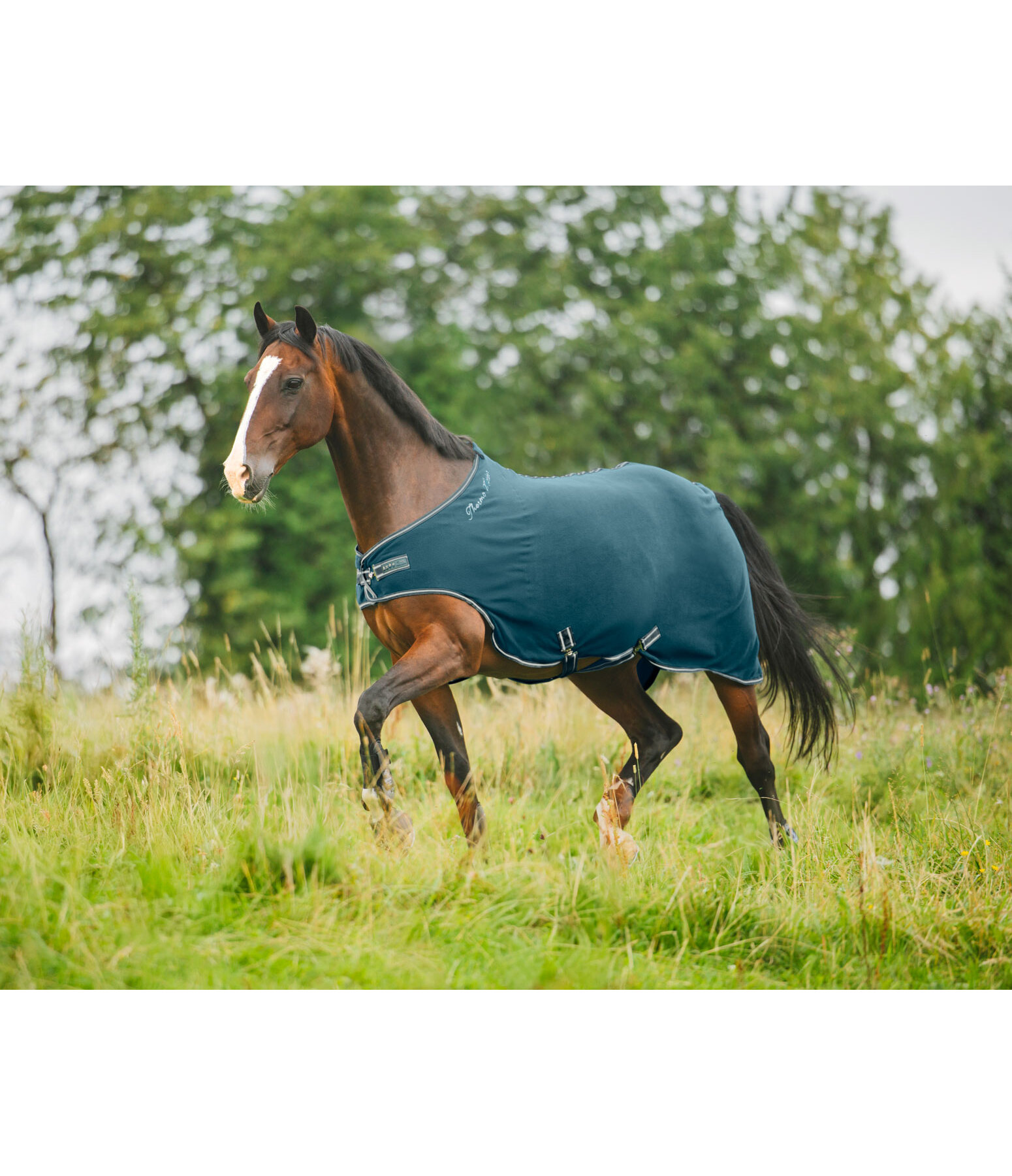 fleece Walker Activity