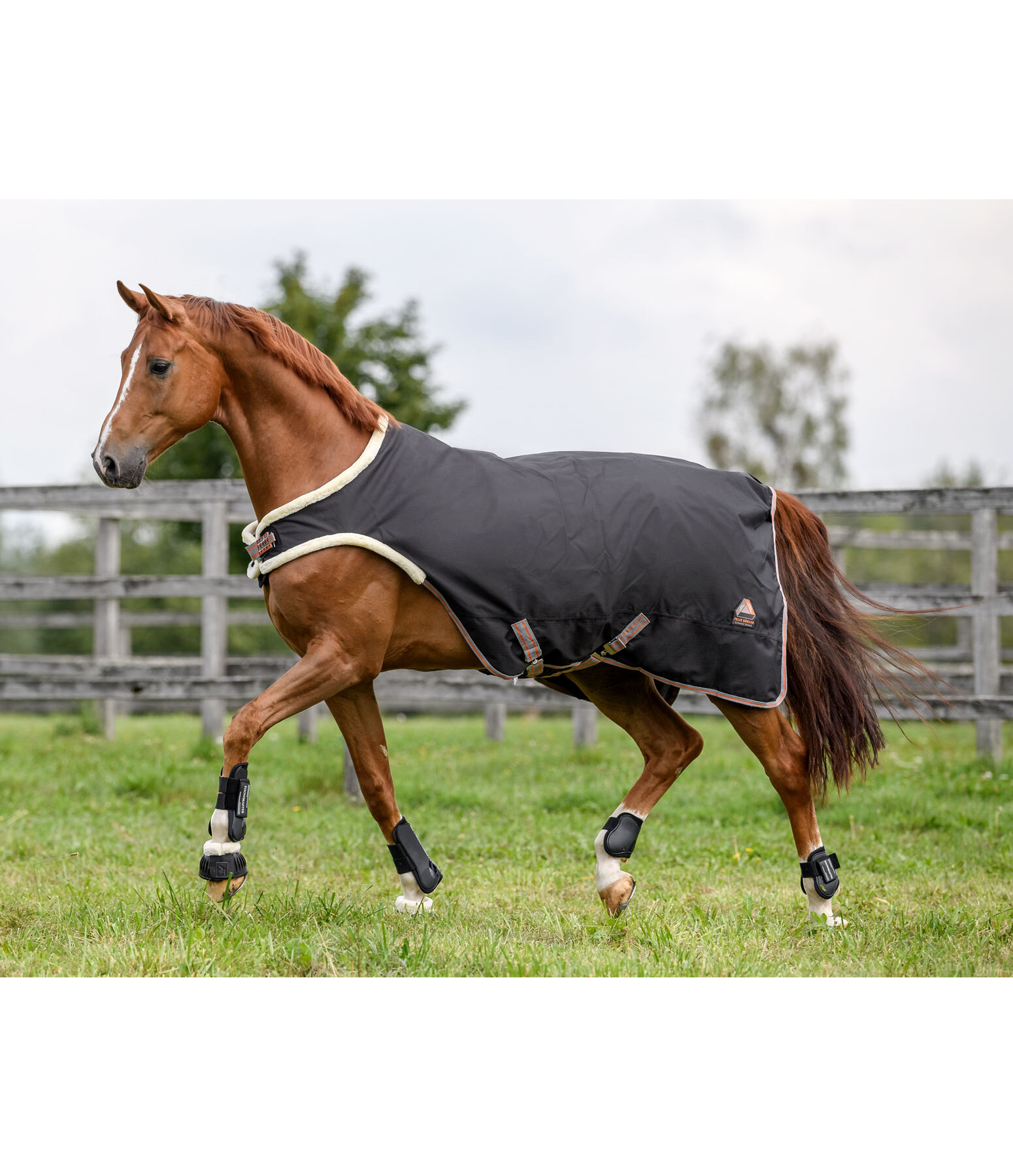 Outdoor-Walker Ceramic Rehab