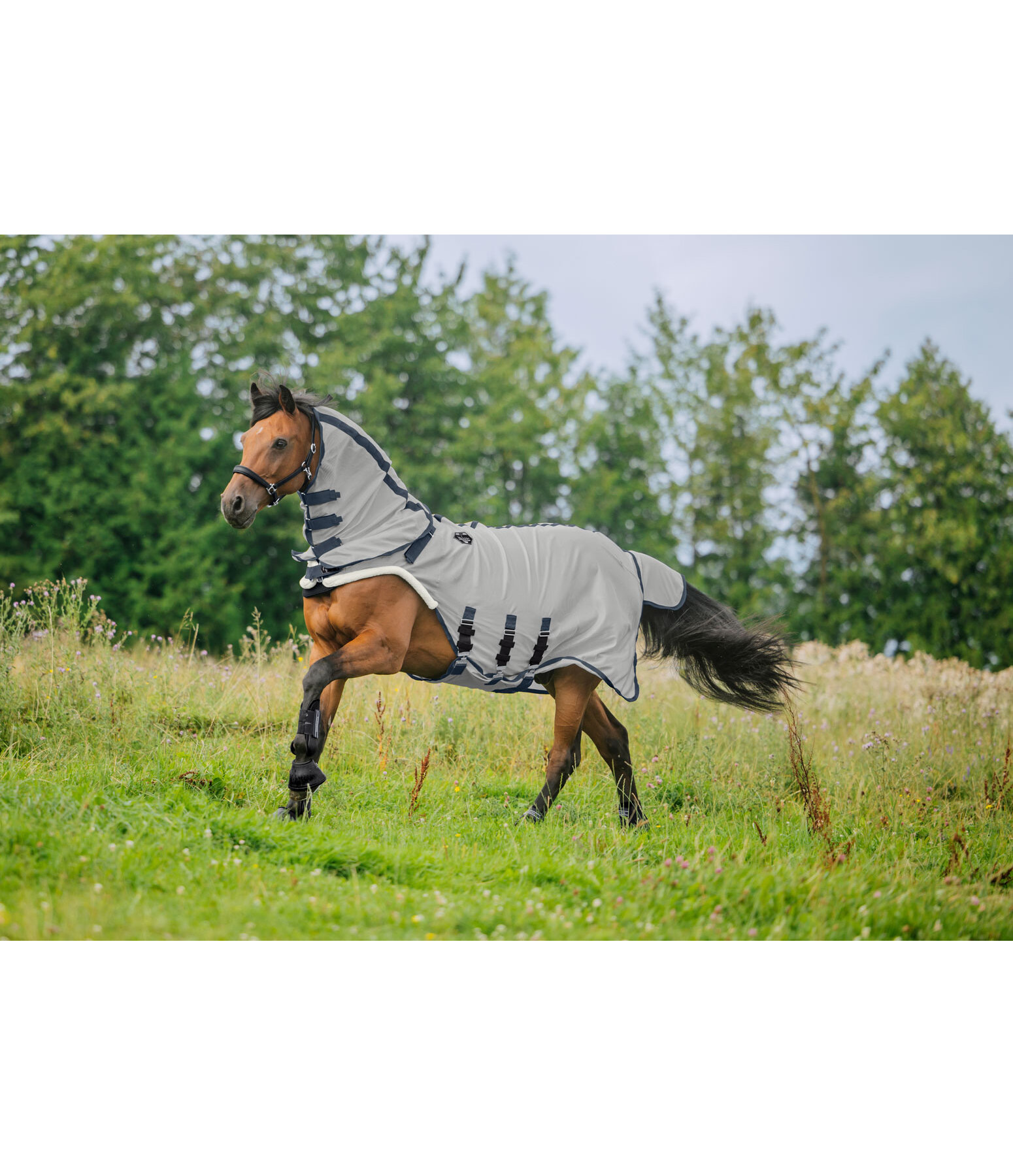 fullneck vliegendeken -Walker Bilma Pro