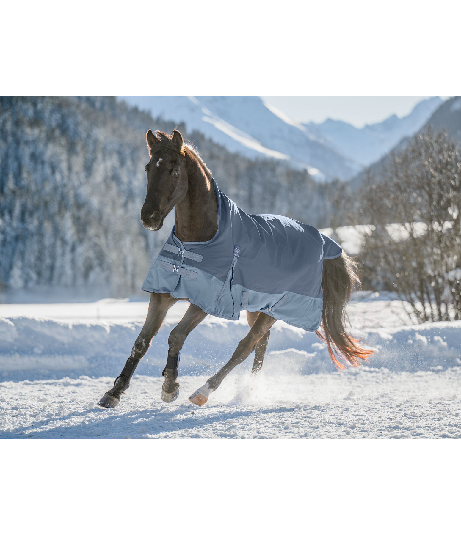 Highneck winterdeken Abegail 150 g