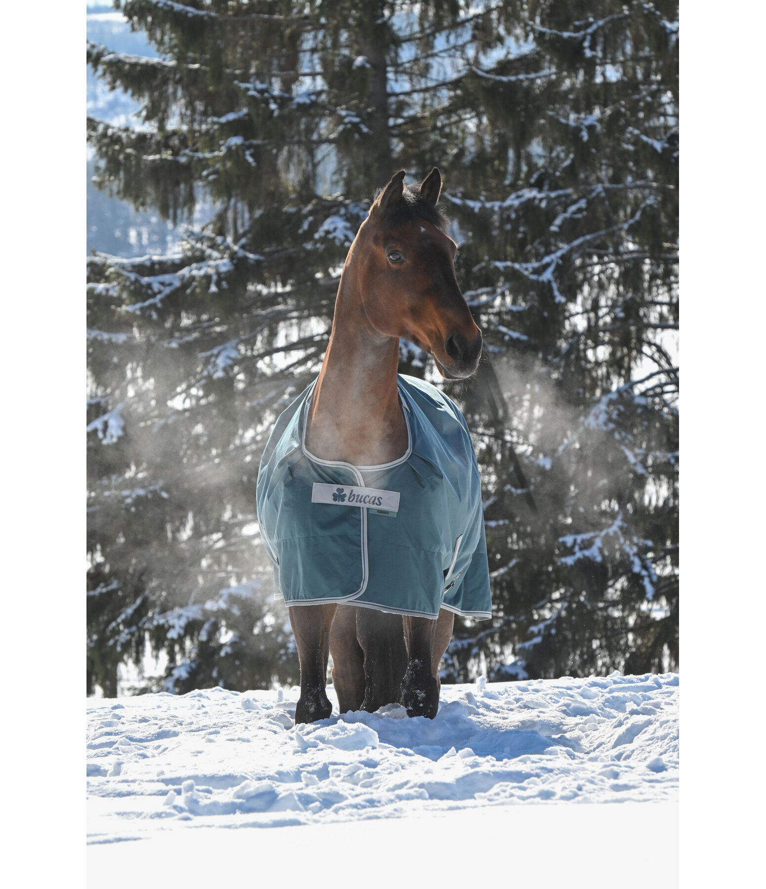outdoordeken Atlantic Turnout 50 Regularneck met Dermo-Care, 50 g