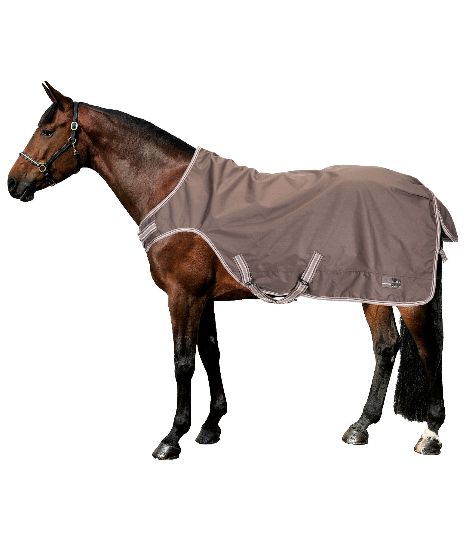 Outdoor Walker Kasimo II, 100 g