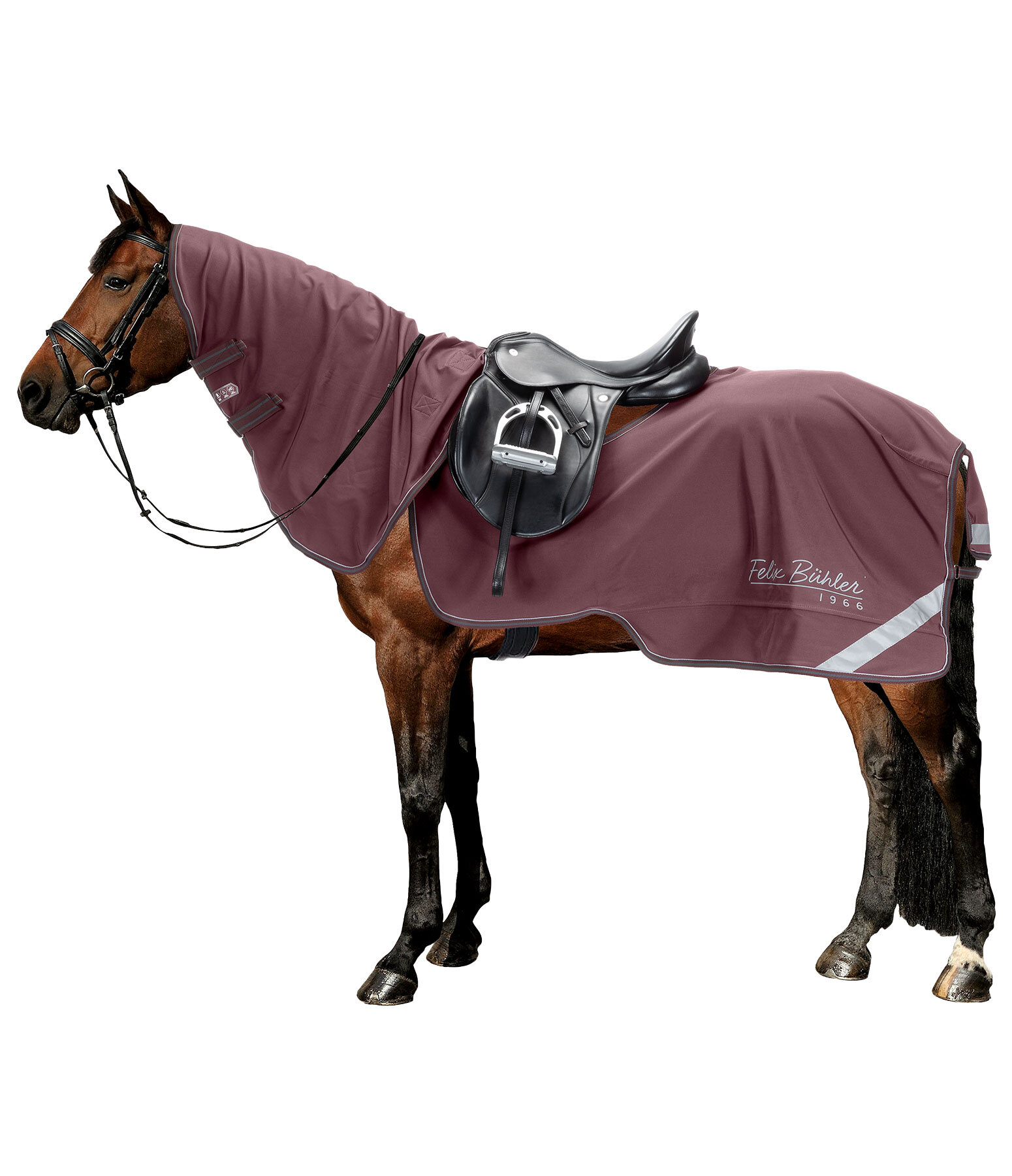 softshell uitrijdeken Alecto incl. afneembaar halsdeel