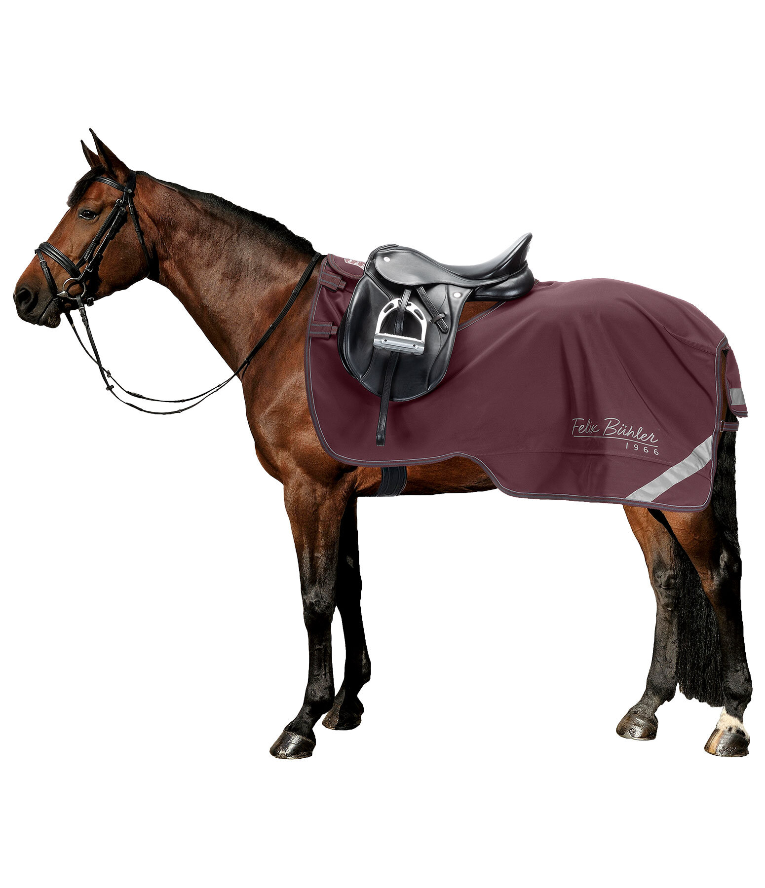 softshell uitrijdeken Alecto incl. afneembaar halsdeel