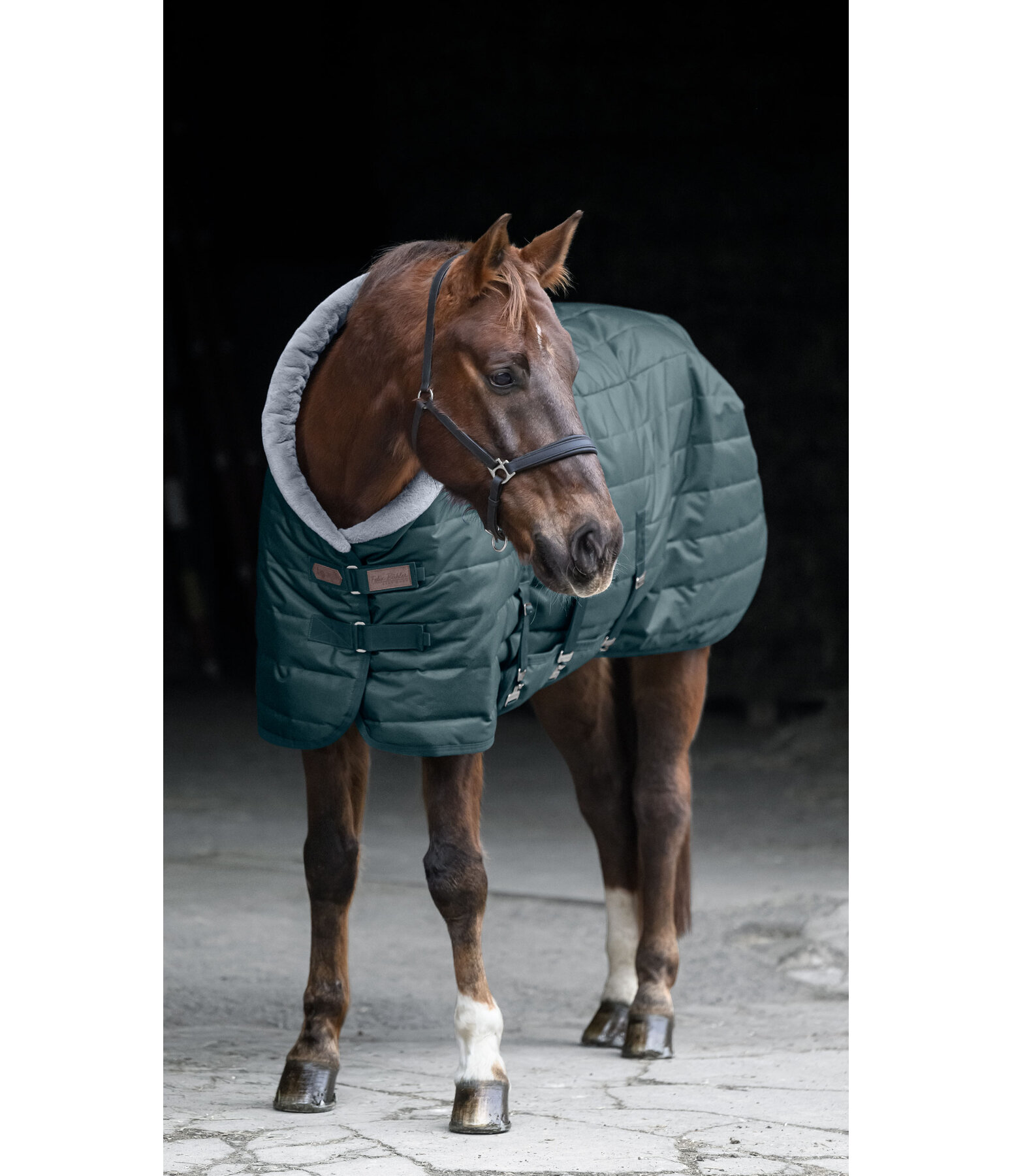 staldeken Stay Cozy