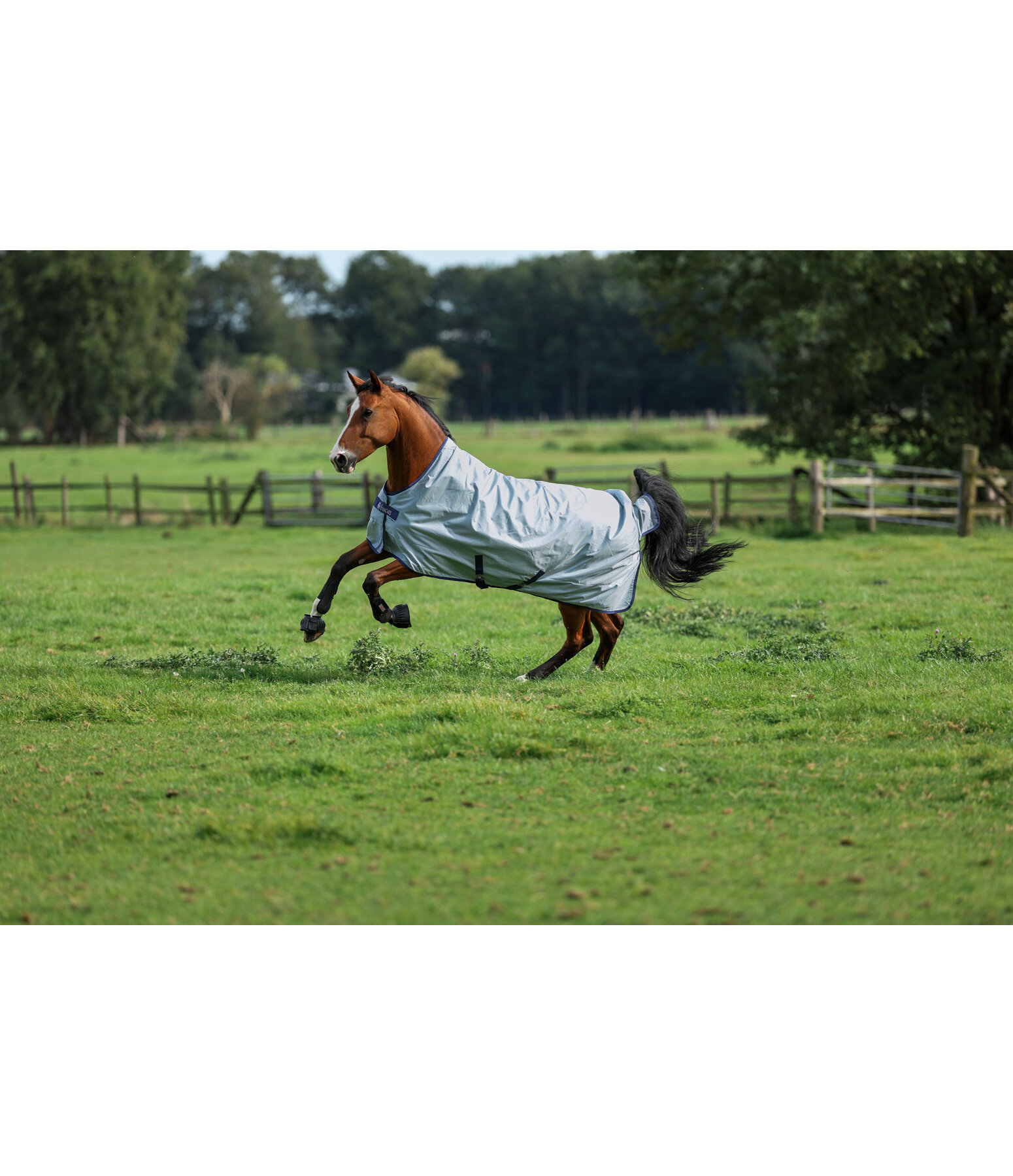 Power Turnout Light regendeken met highneck en klassieke kruisbanden, 0 g