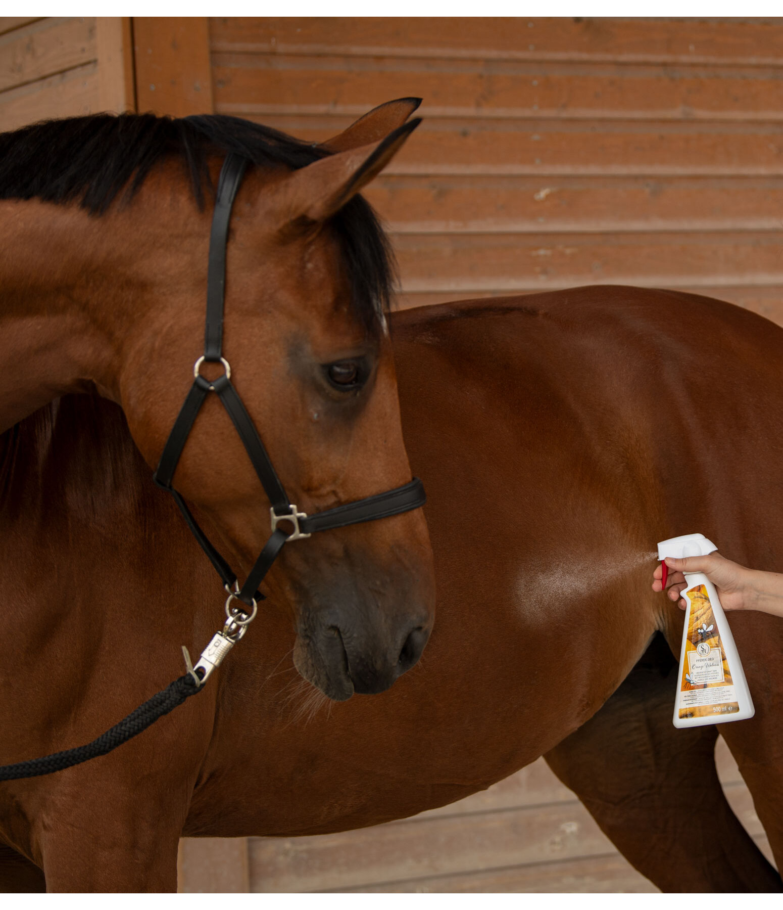 paarden deodorant sinaasappel-walnoot