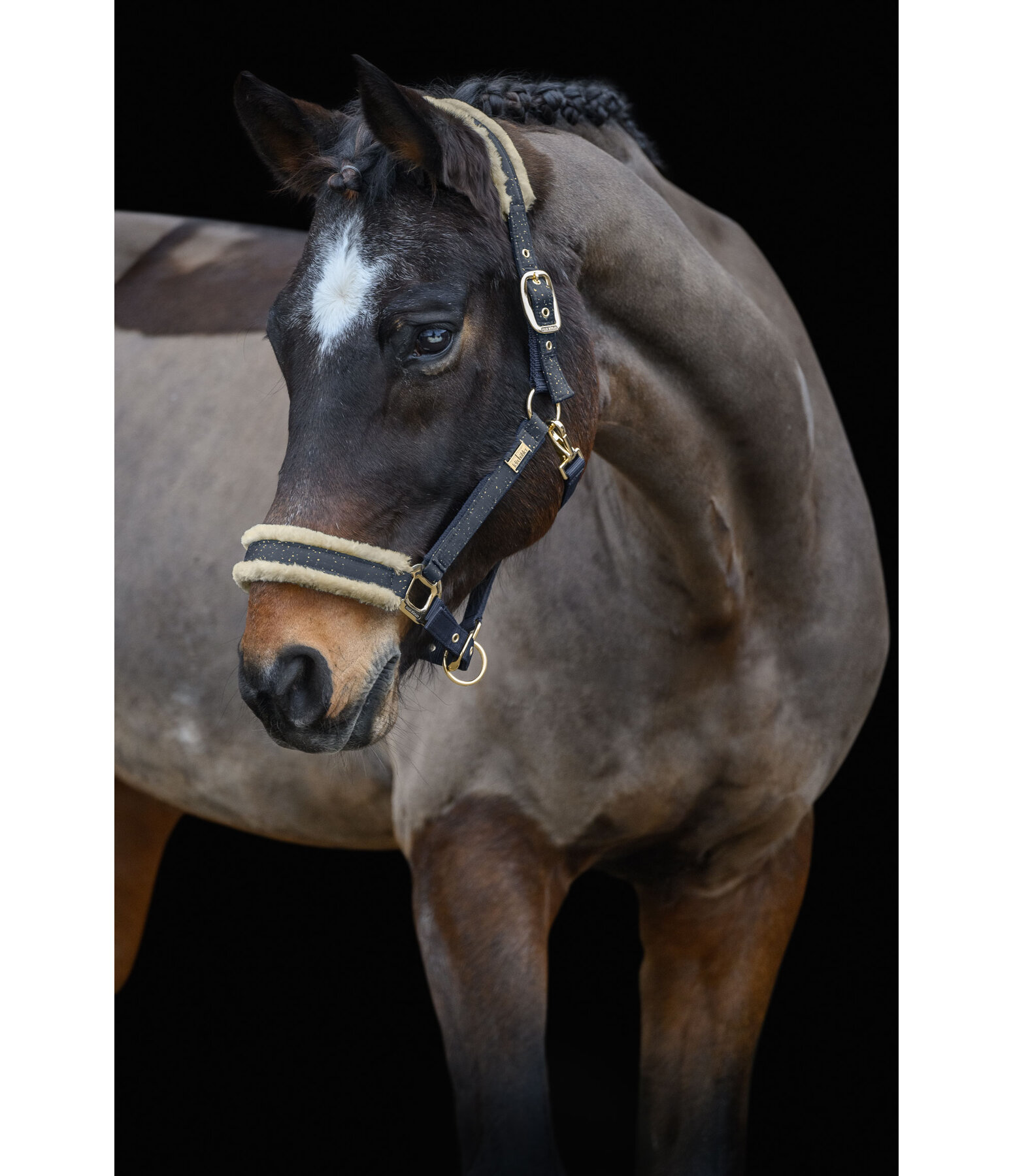 halster Sparkling II