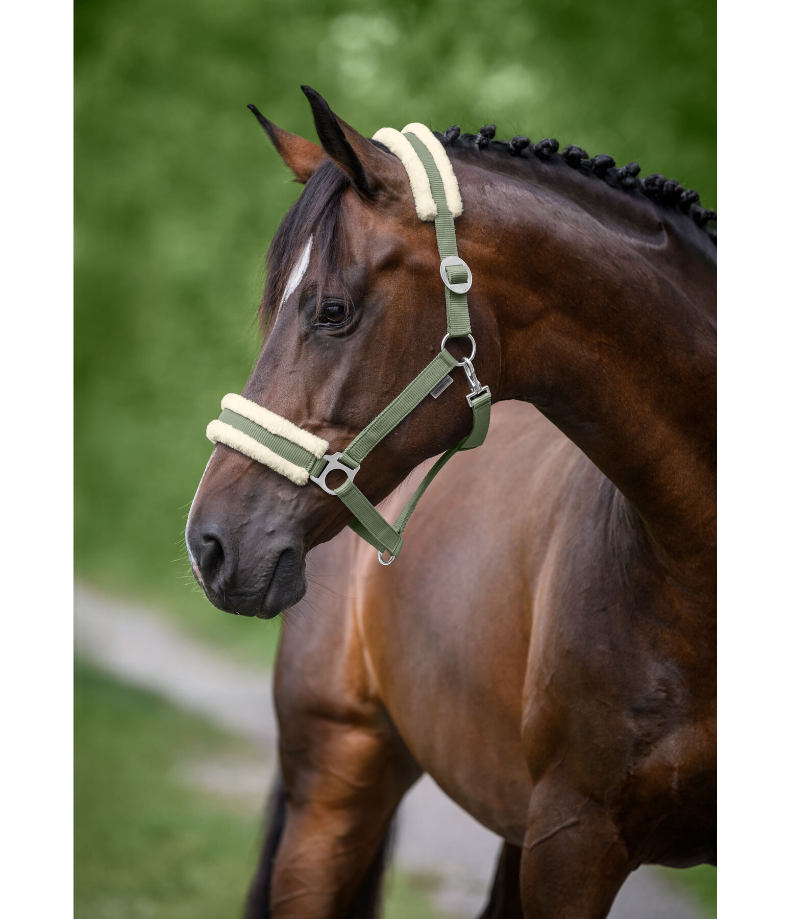 teddyfleece halster super voordelig III