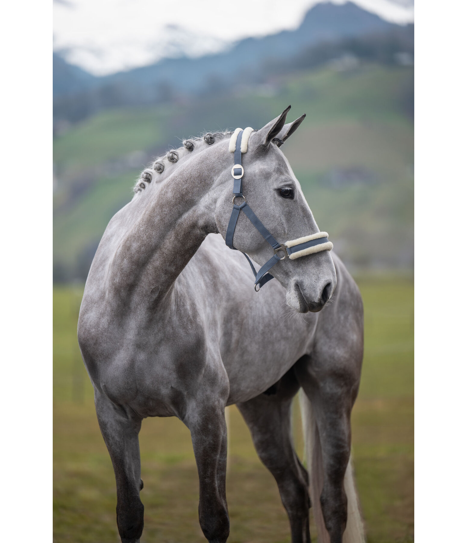 teddyfleece halster super voordelig III