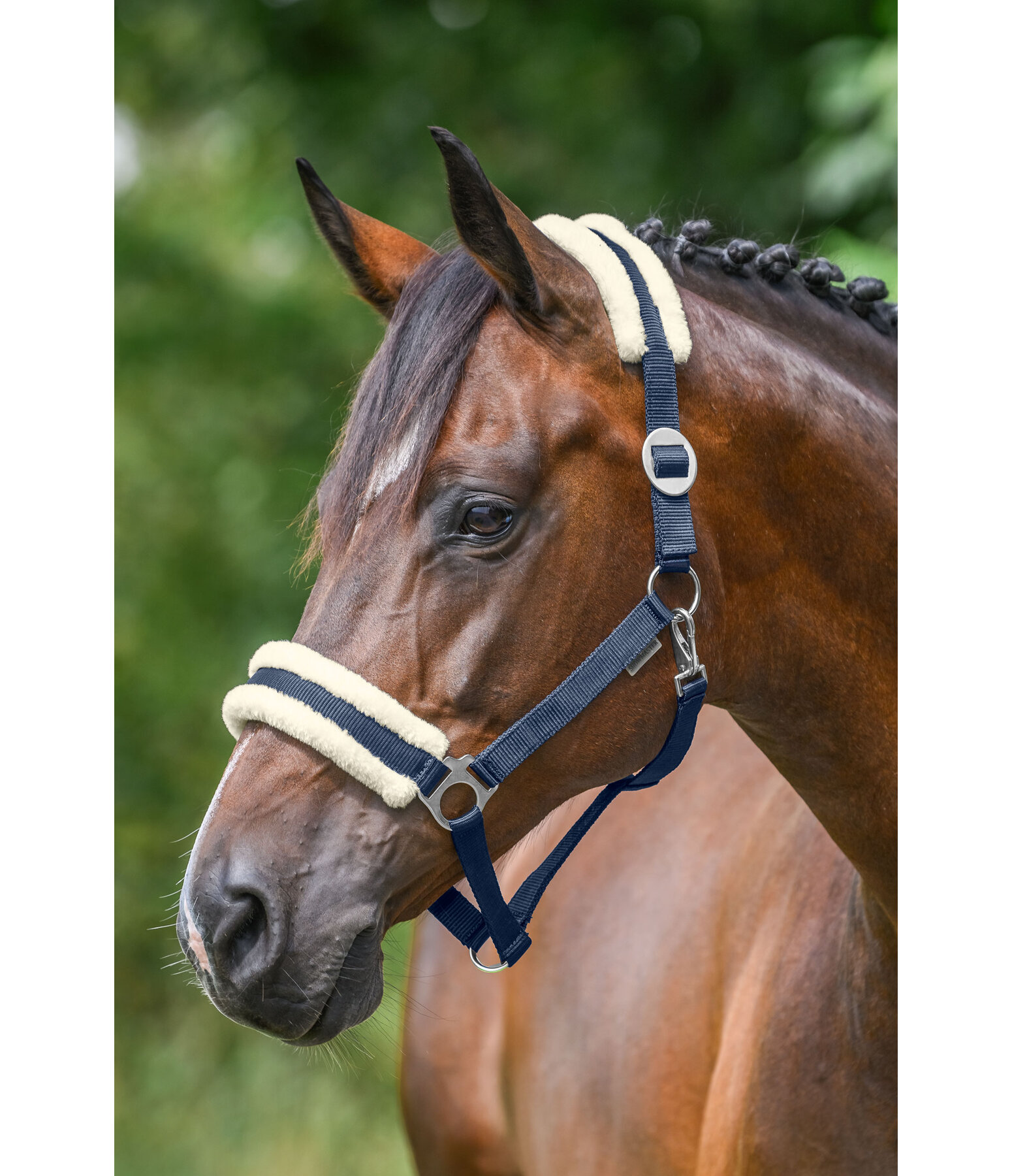 teddyfleece halster super voordelig III