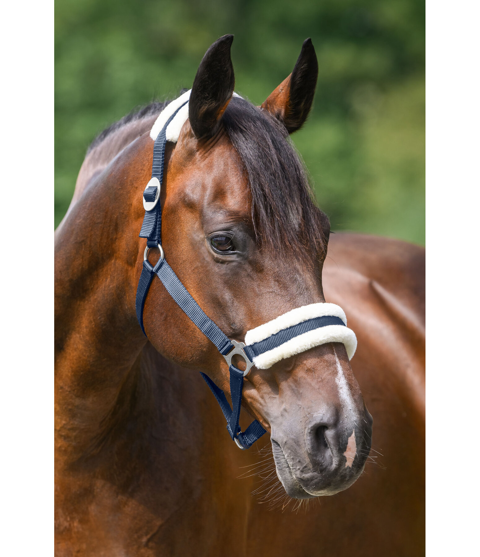 teddyfleece halster super voordelig III