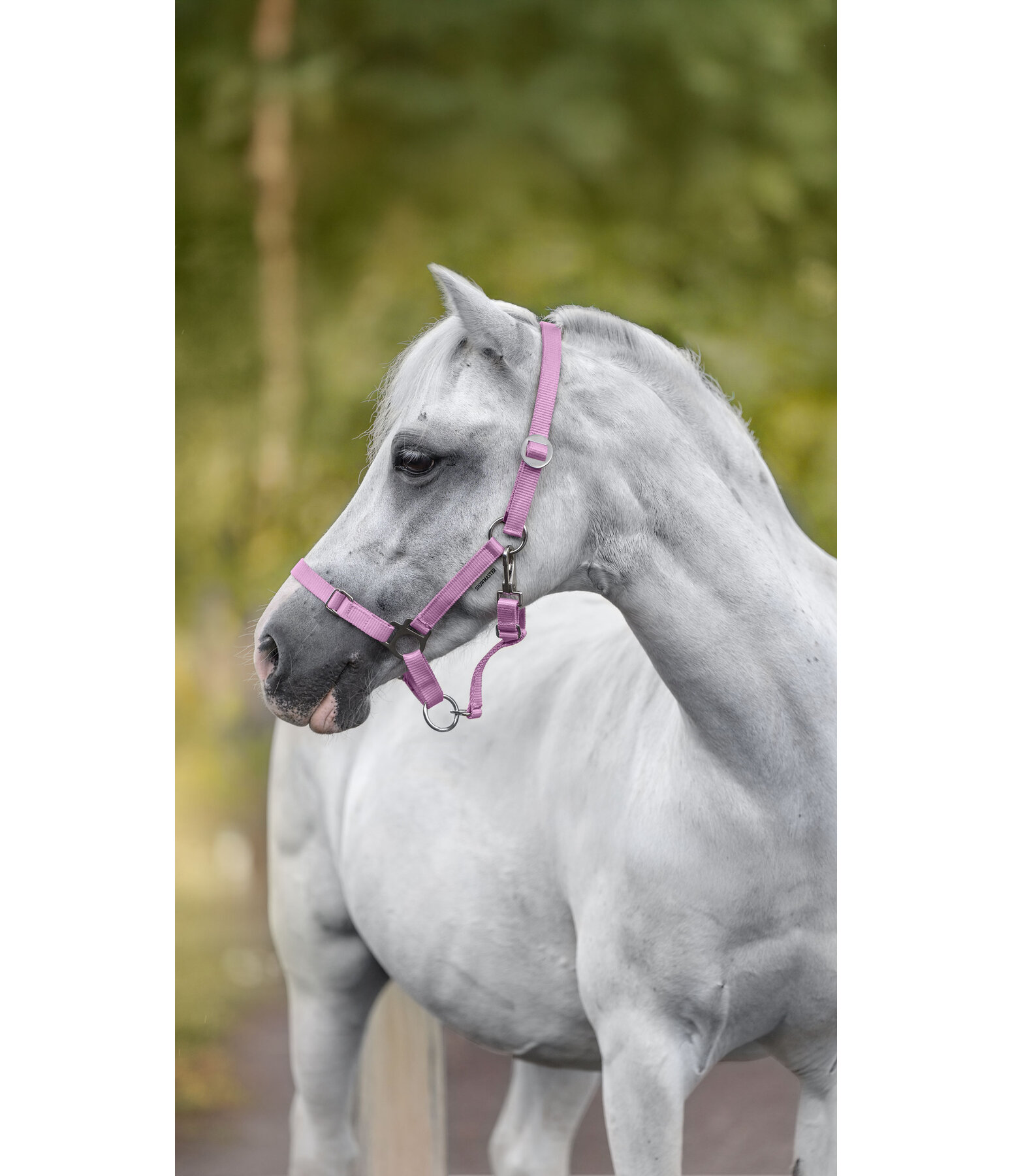 veulen- en shettyhalster Grow With You