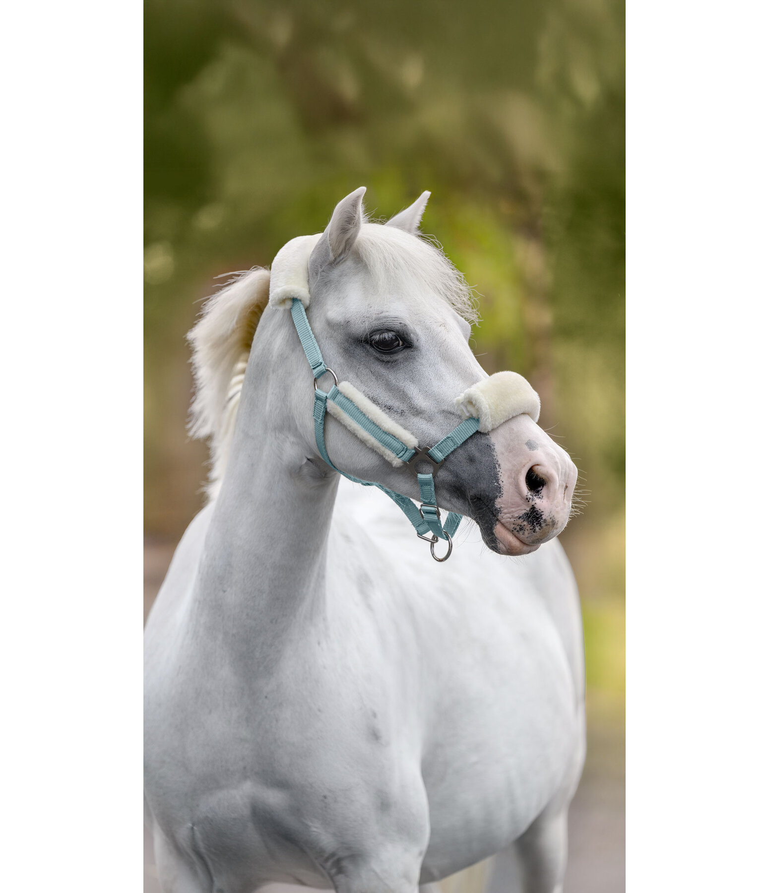 veulen & shetty teddyfleece halster Cozy verstelbaar