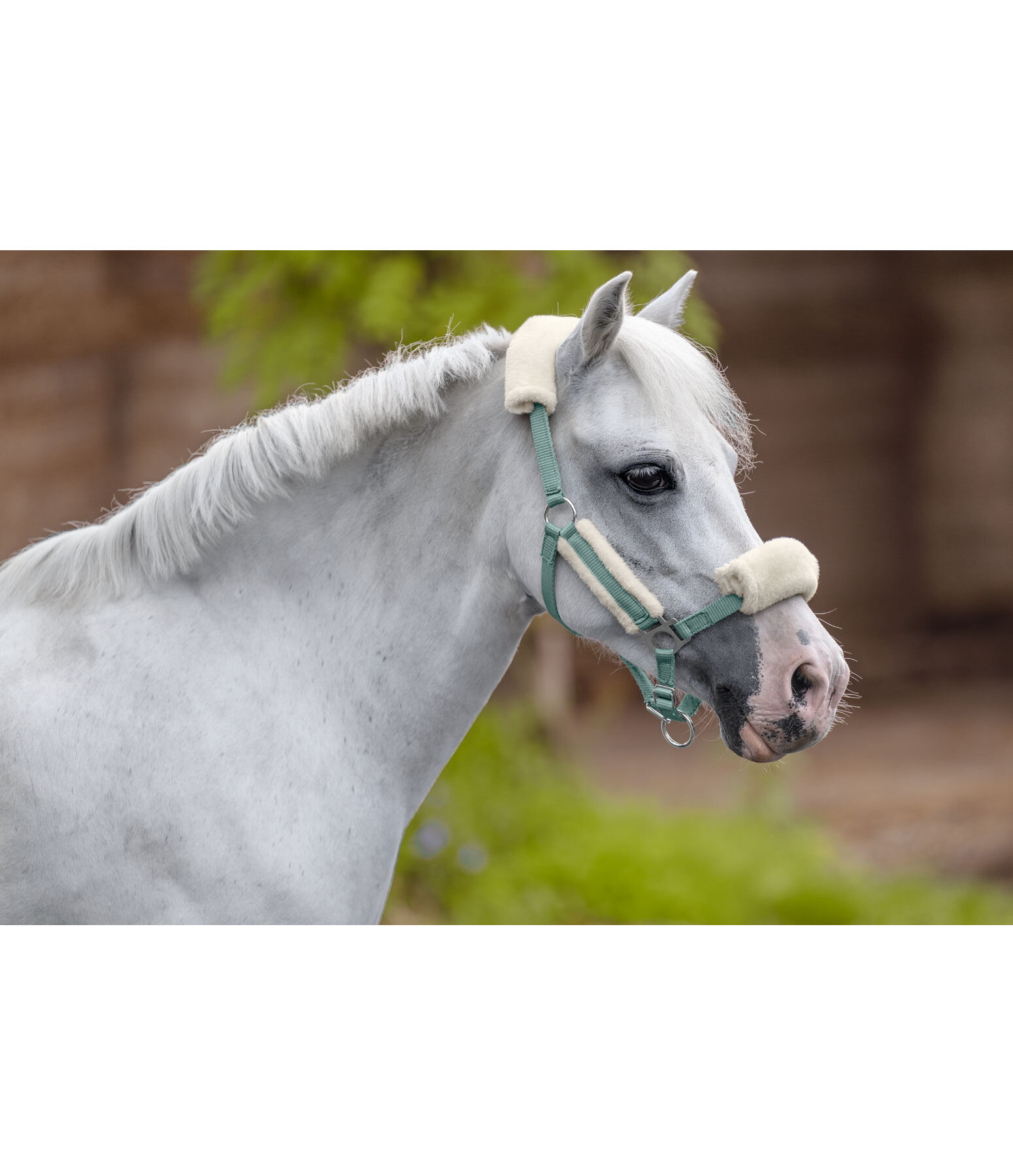 veulen & shetty teddyfleece halster Cozy verstelbaar