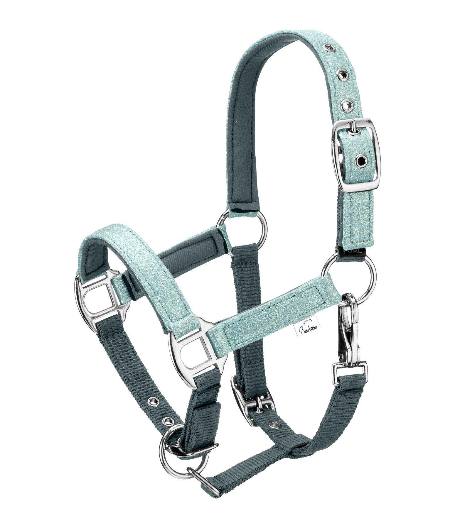 veulen en shetty halster Twinkle