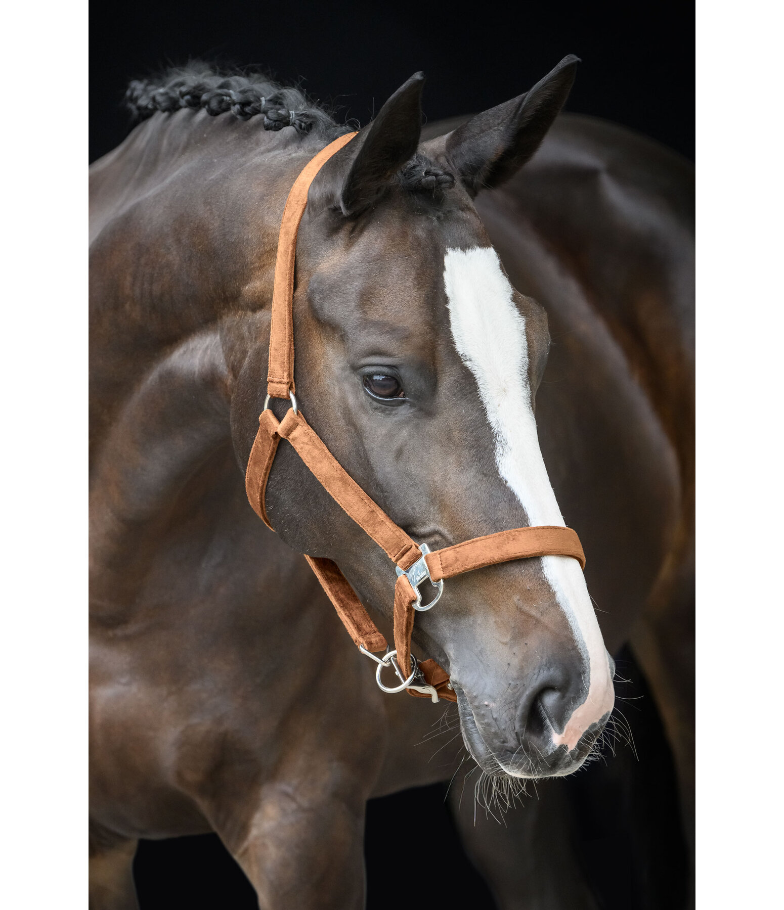 halster Velvet