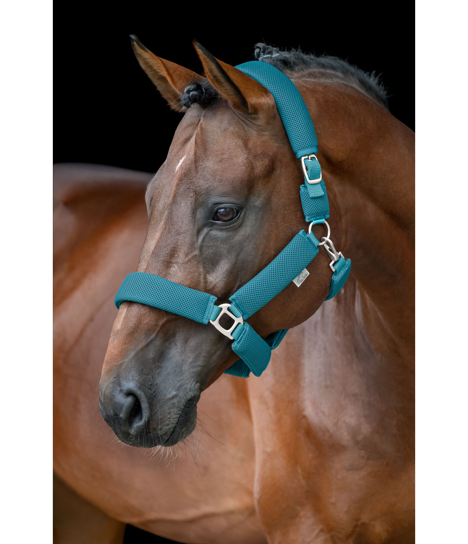 Mesh halster Airflow