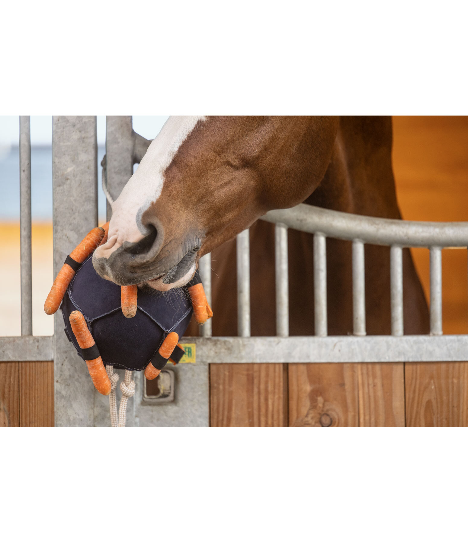 Paardenspeelbal Snack