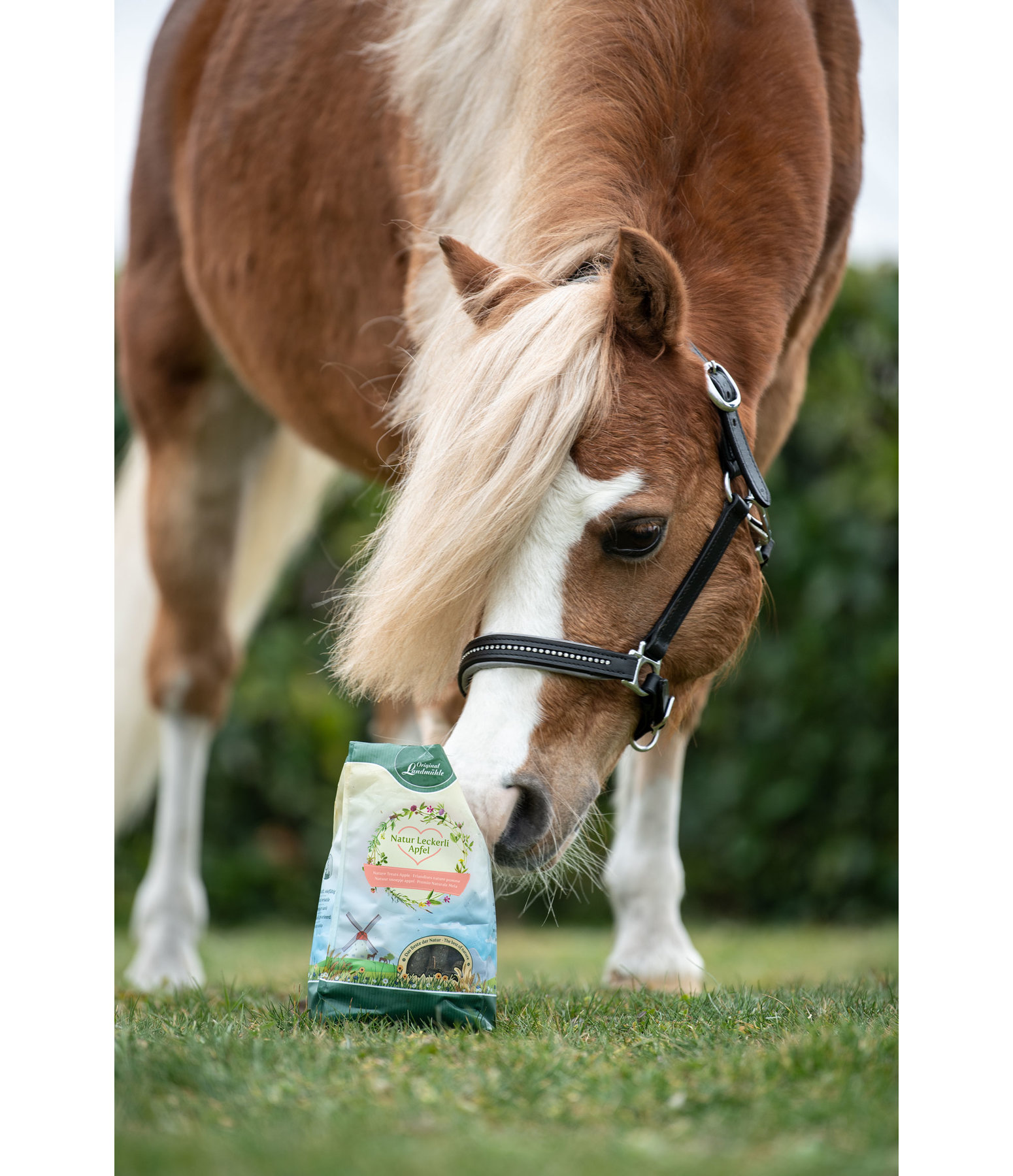 natuur appelsnoepjes