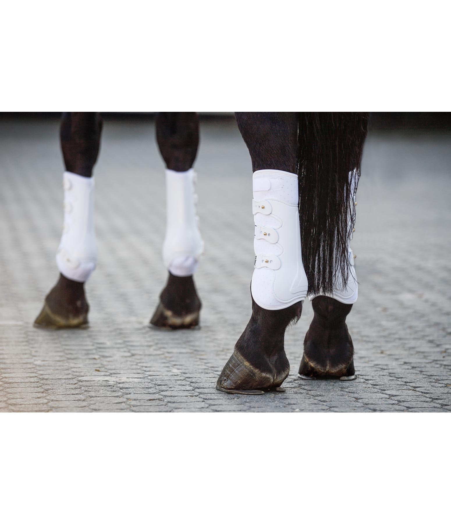 peesbeschermers Perfect Protection, achterbenen