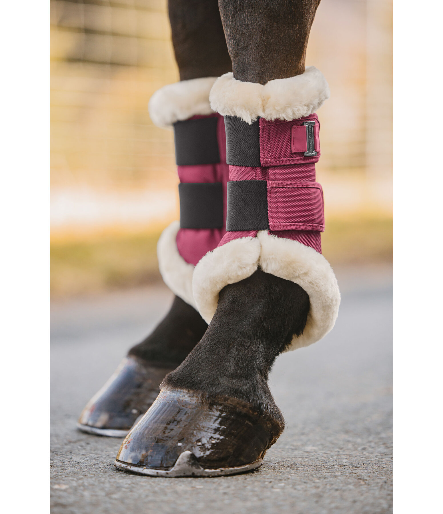 teddyfleece dressuur beenbeschermers Essential, voorbenen