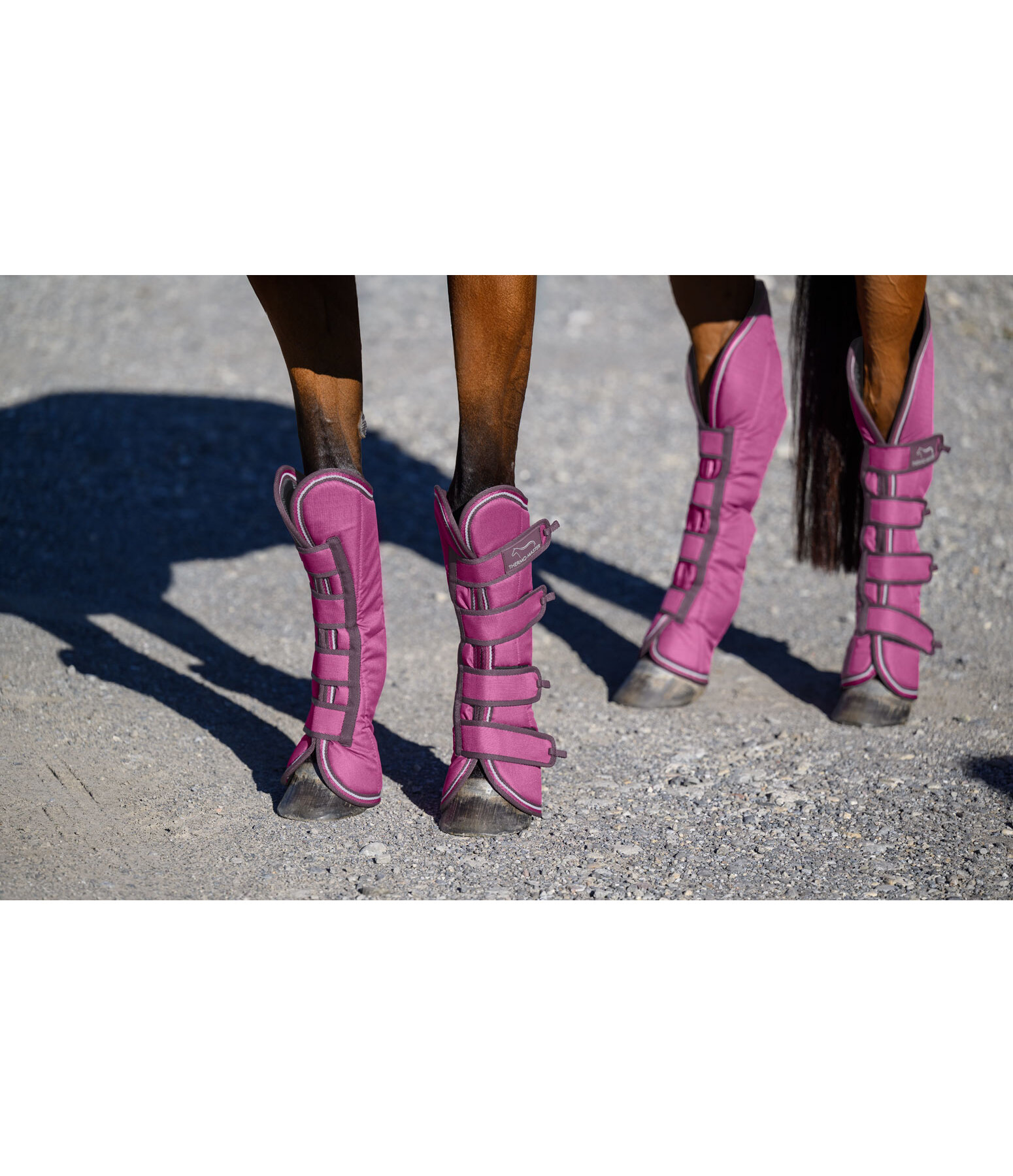 transportbeschermers Kilian