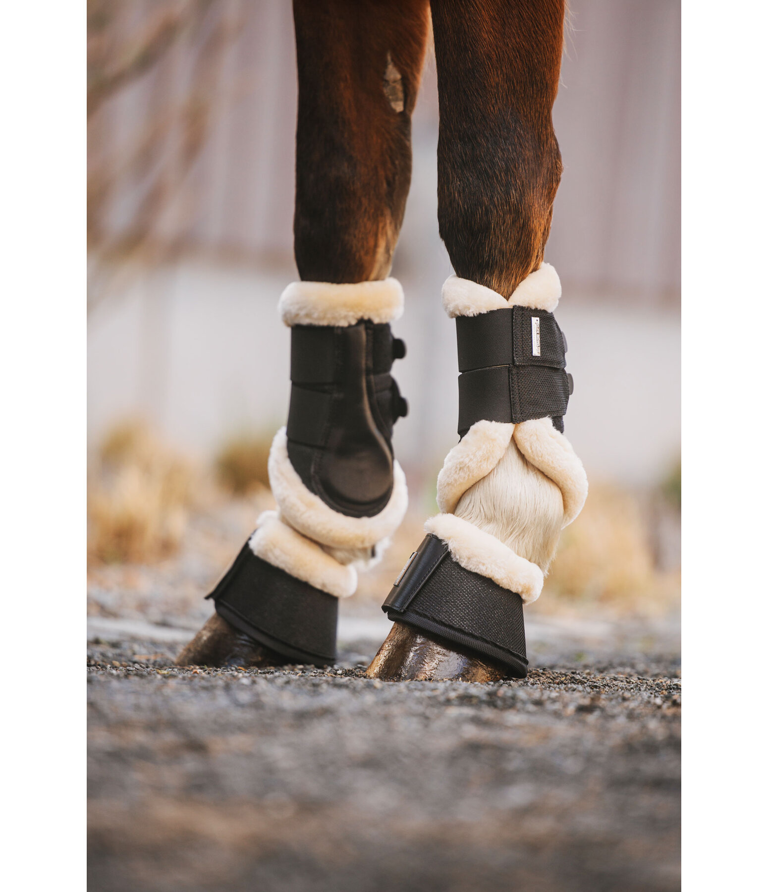 teddyfleece dressuur peesbeschermers Sparkle, voorbenen