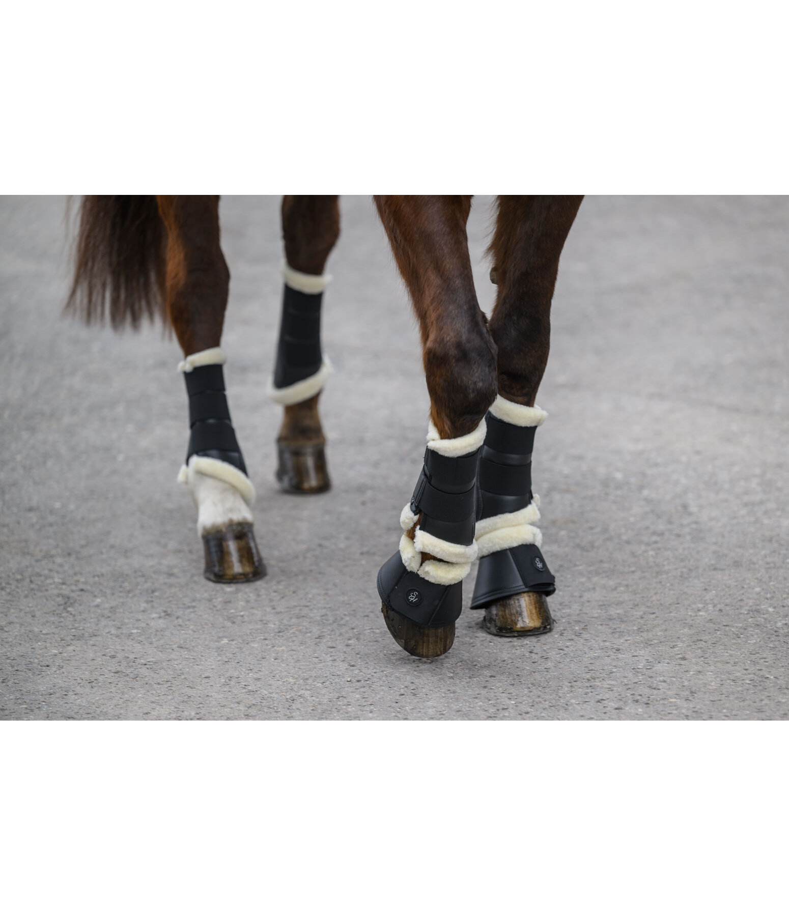 teddyfleece dressuur peesbeschermers Classic, voorbenen