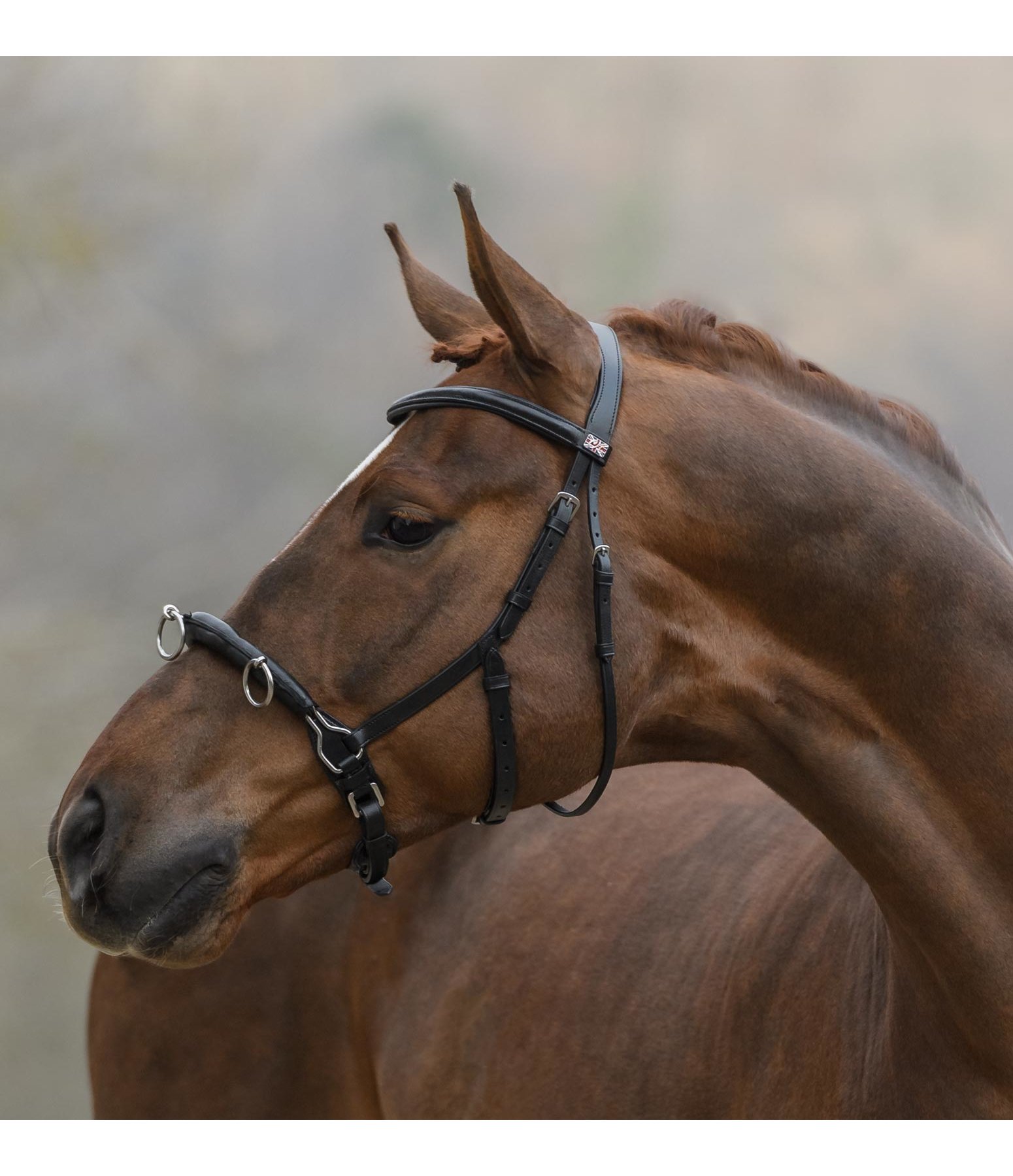 Ophef fantoom Rimpels leren kaptoom Soft & Light - CLARIDGE HOUSE - longeren & voltigeren -  Kramer Paardensport