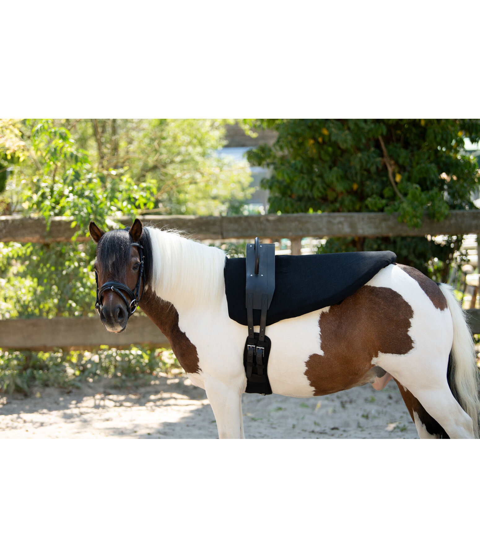 voltigesingel Entrance