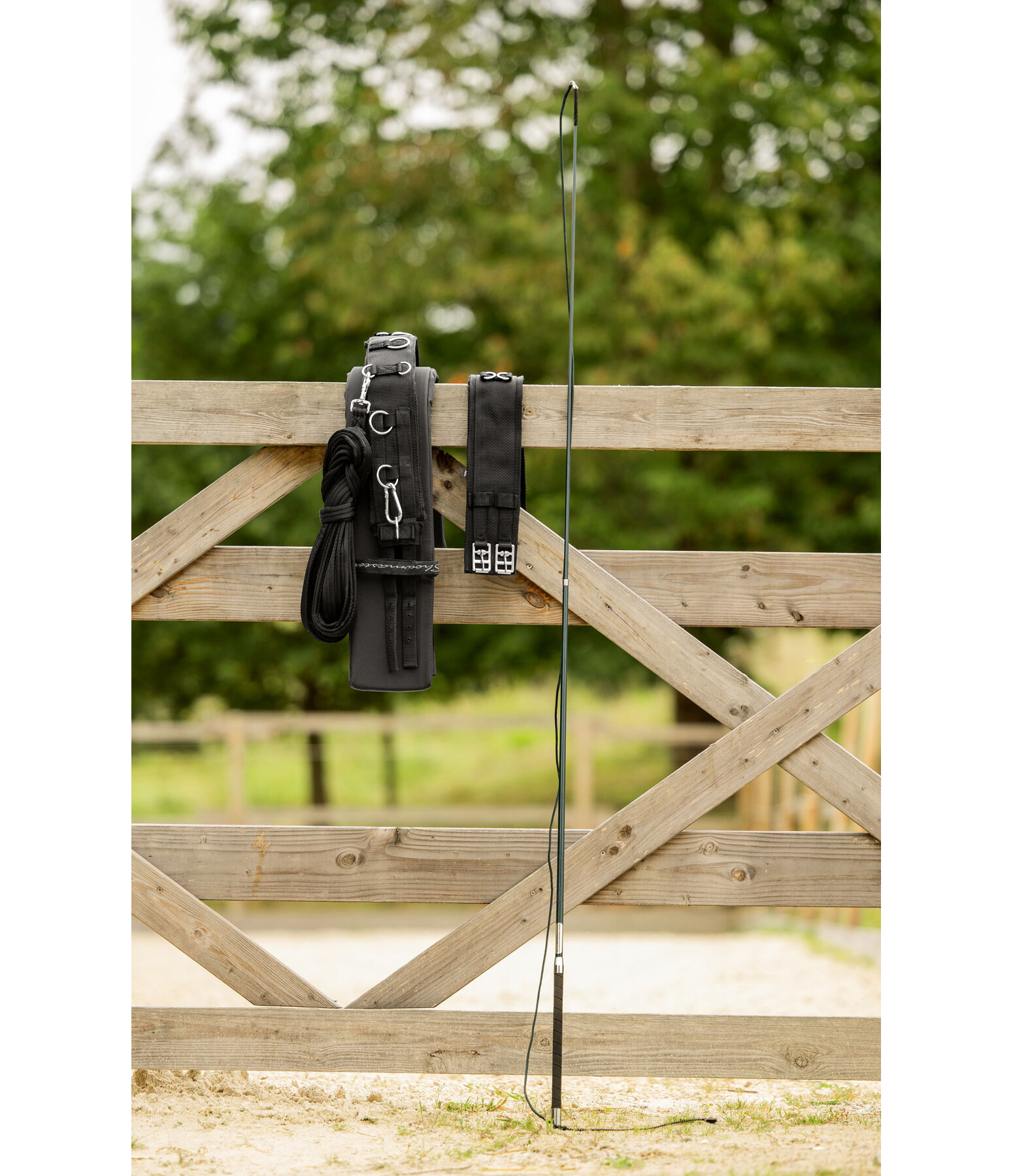 longeerzweep telescopisch Ultralight