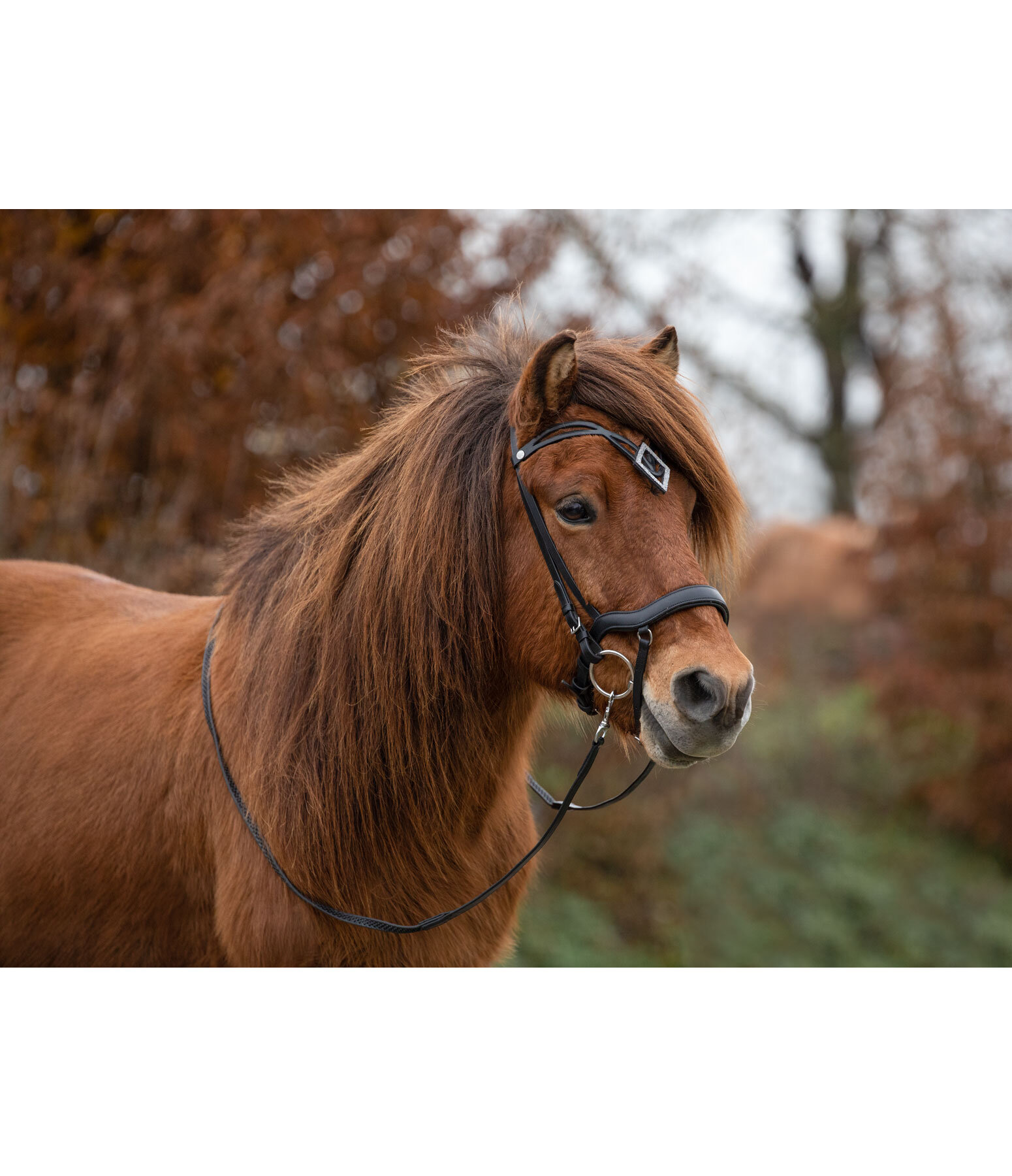 neusriem engels gecombineerd Hildur