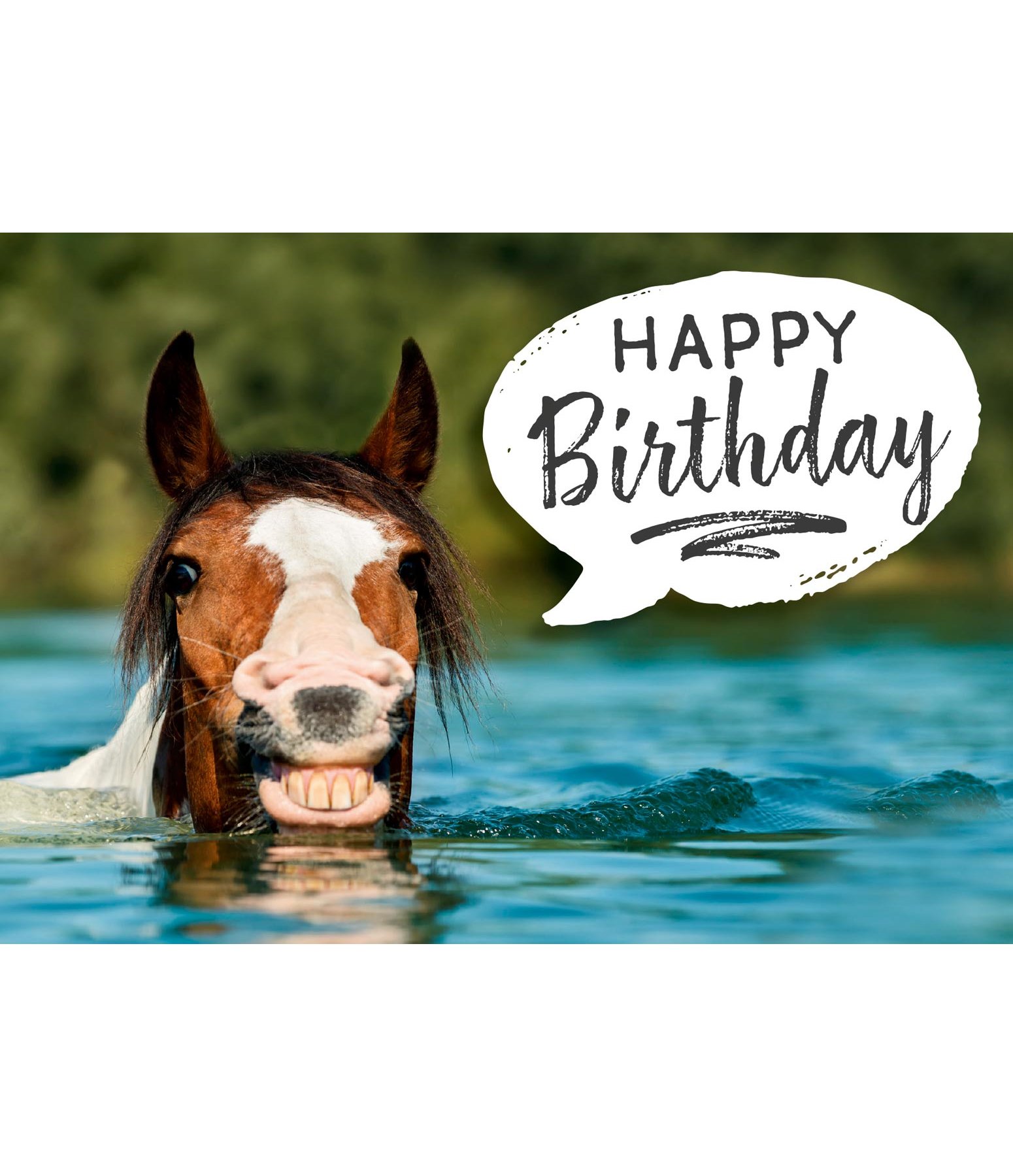 wenskaart Happy Birthday VII - Stickers & schrijfwaren - Kramer Paardensport