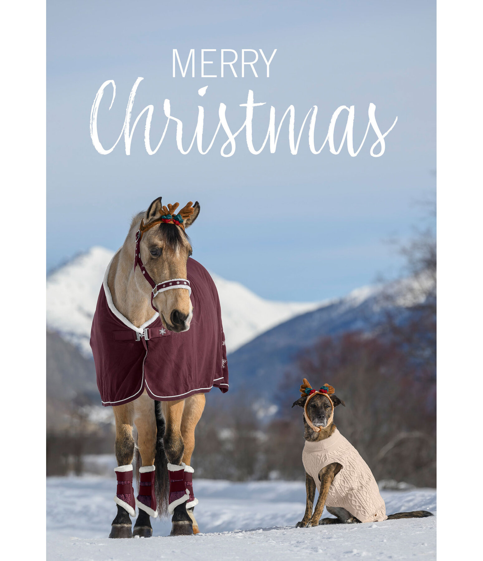 wenskaart Merry Christmas