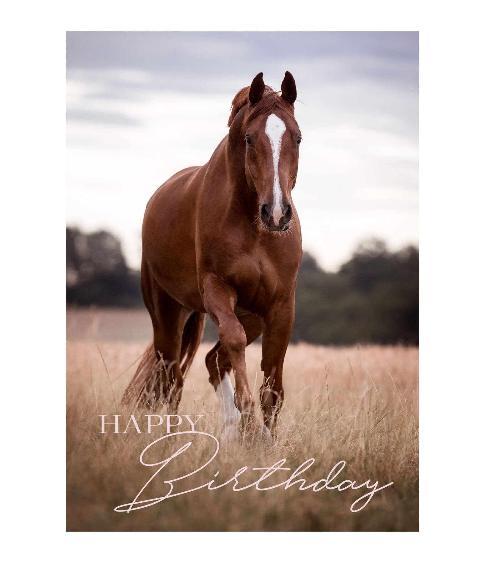 wenskaart Happy Birthday IV