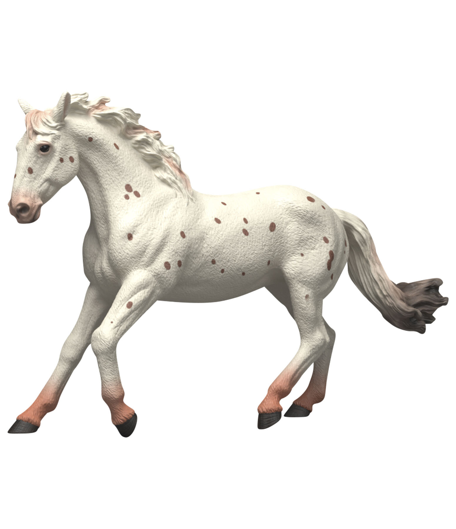 Knabstrupper merrie