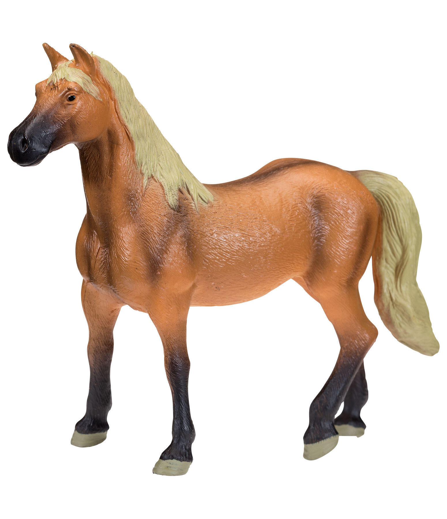 Play series Belgisch warmbloedpaard