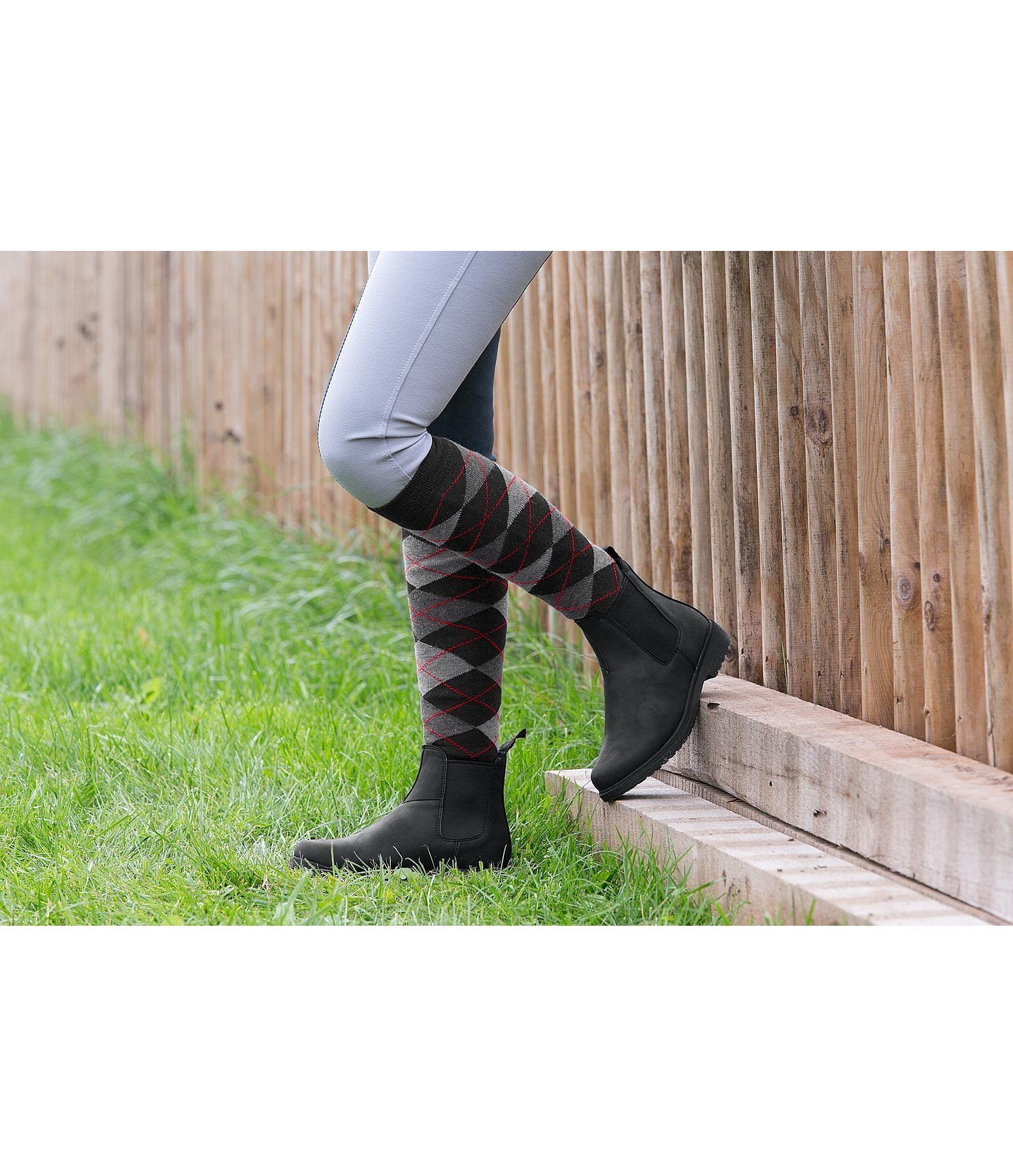 jodhpurs Novice