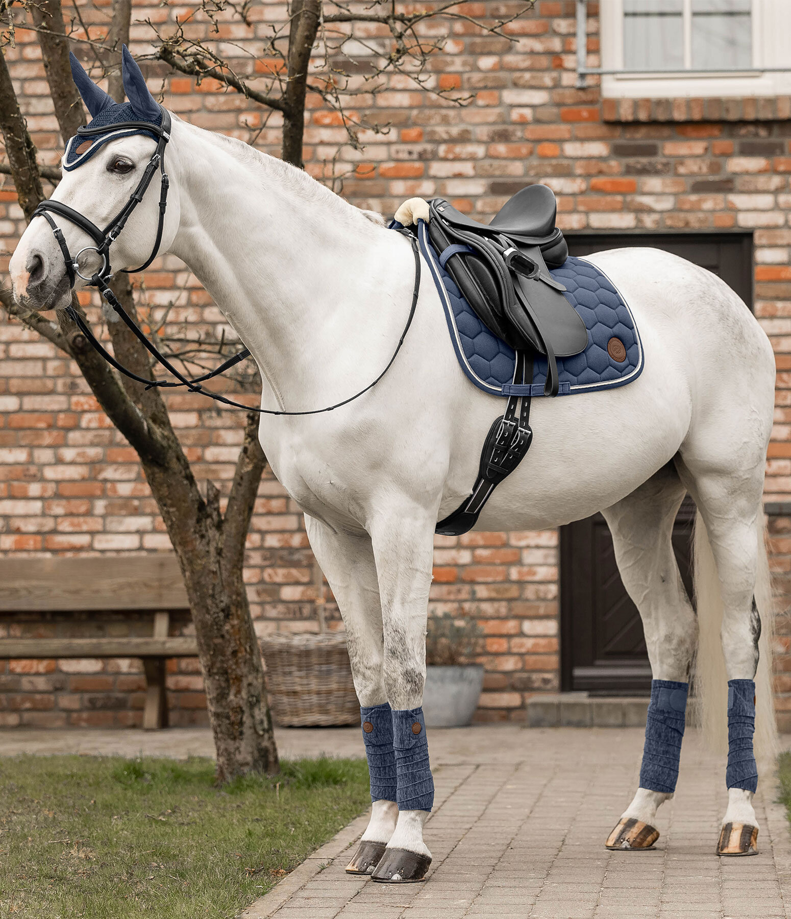 Outfit Felix Bühler Knitted in light denim Kramer Paardensport