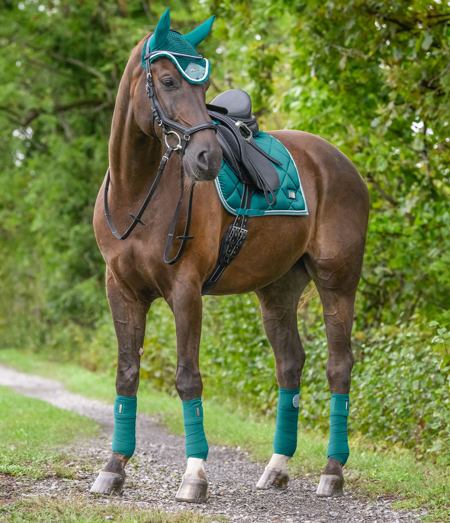 Outfit Felix Bühler Swiss Design in atlantisch groen