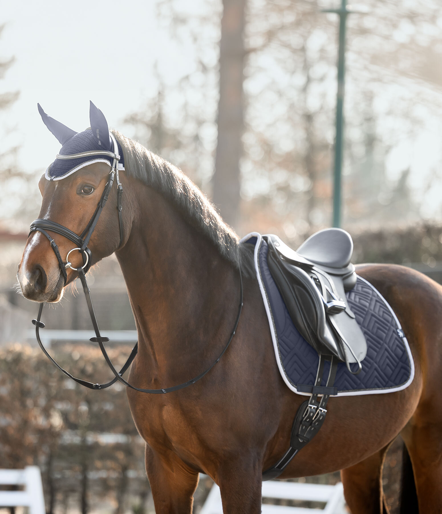 Outfit Glimmering in navy classic