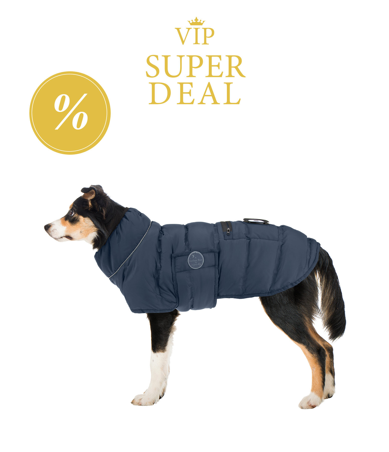 sugar dog LED gewatteerd hondenjas Arlo, 300 g