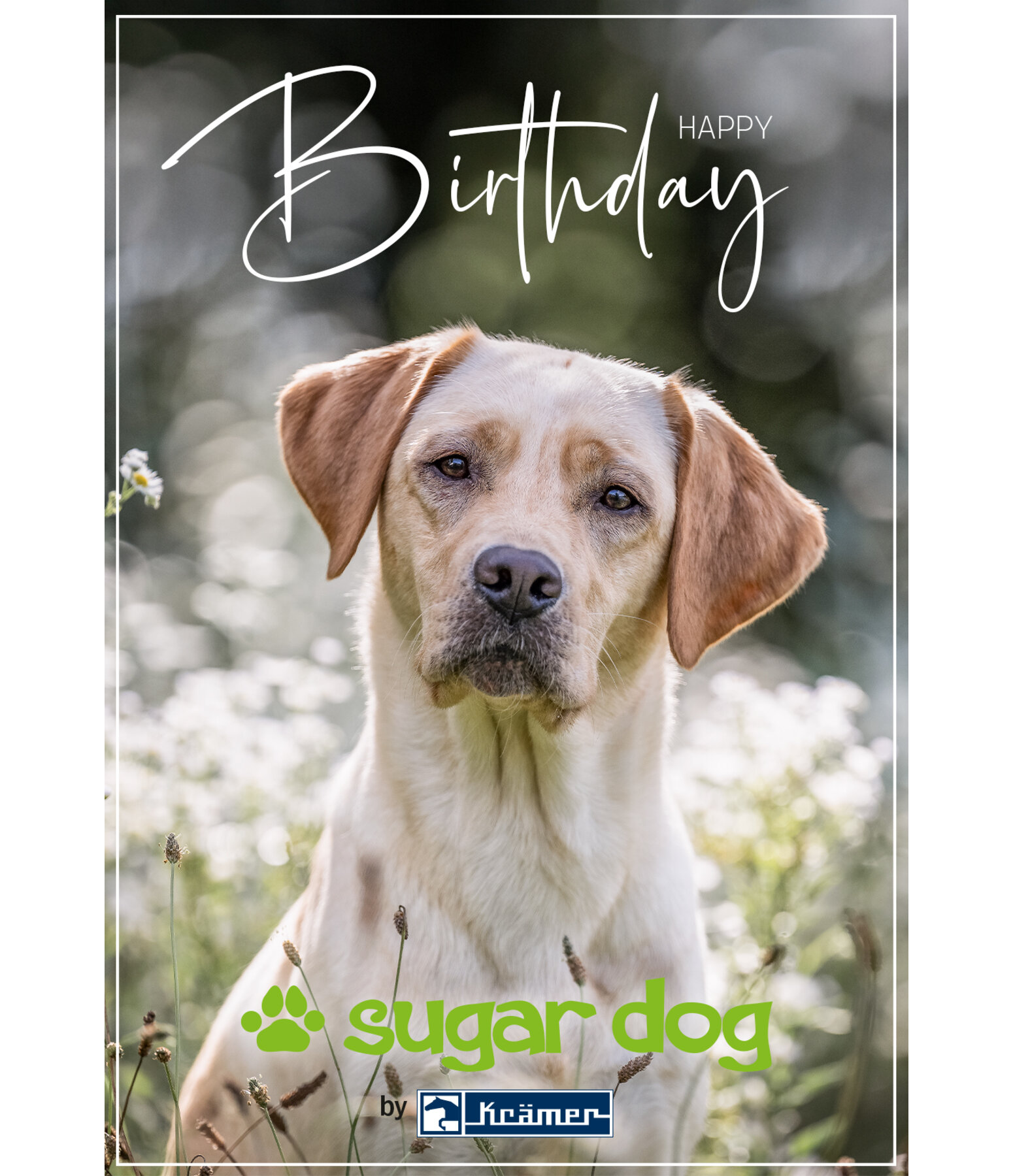 cadeaubon om online uit te printen