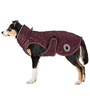 sugar dog hondendeken Archie - 230955-M-KI