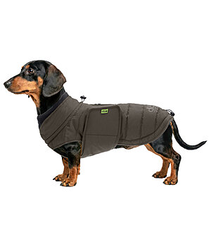 sugar dog Teckel Wintermantel Henry, 200 g - 231311-S-DO