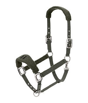 Felix B�hler teddy Halster - 310082-F-O