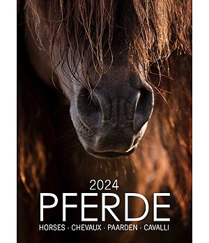 Kramer Paardenkalender 2024 - 333