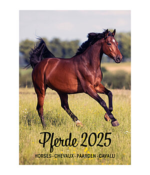 Kramer Paardenkalender 2024 - 333